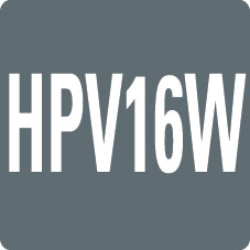 HPV16W